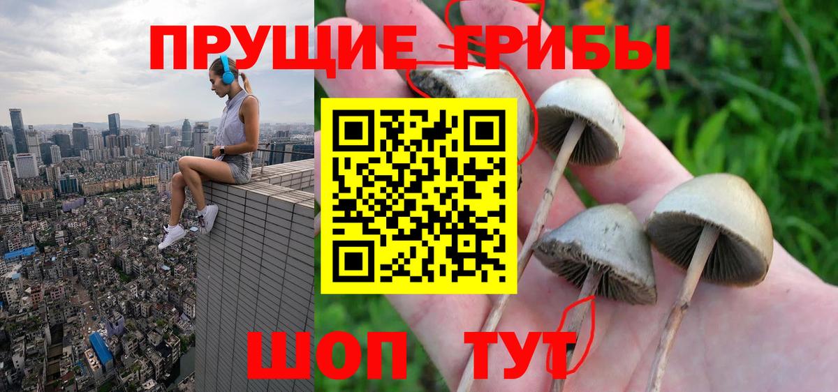 Галлюциногенные грибы ЛСД  Вход с VPN  купить   Великий Новгород  Псилоцибиновые грибы мицелий 