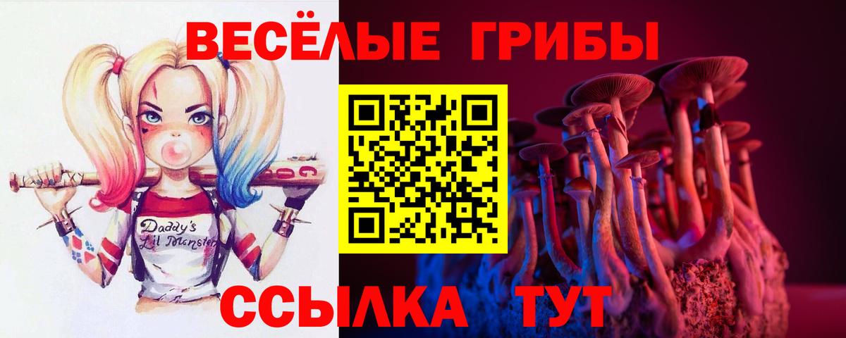Галлюциногенные грибы мицелий Великий Новгород